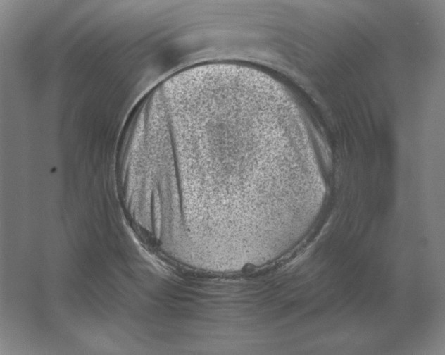 X0000062131513200512301448