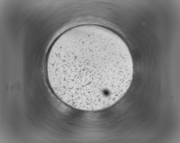 X0000062131514200512301448