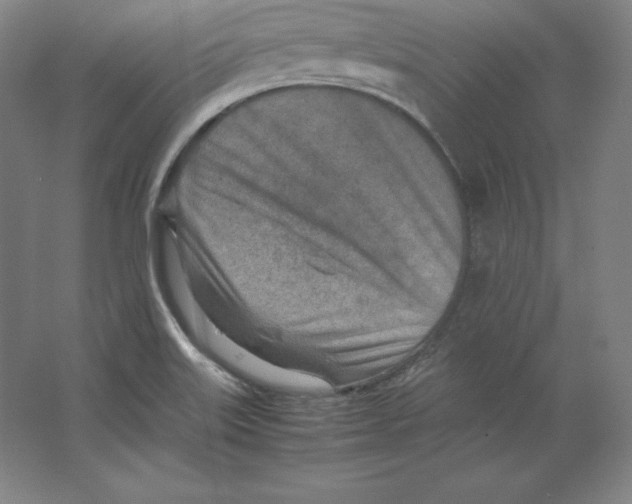 X0000062131515200512301448