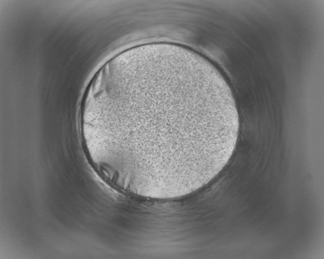 X0000062131516200512301448