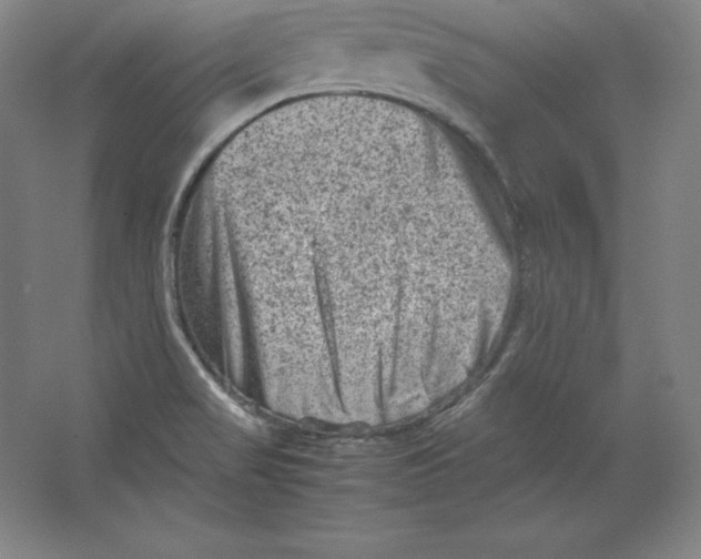 X0000062131517200512301448