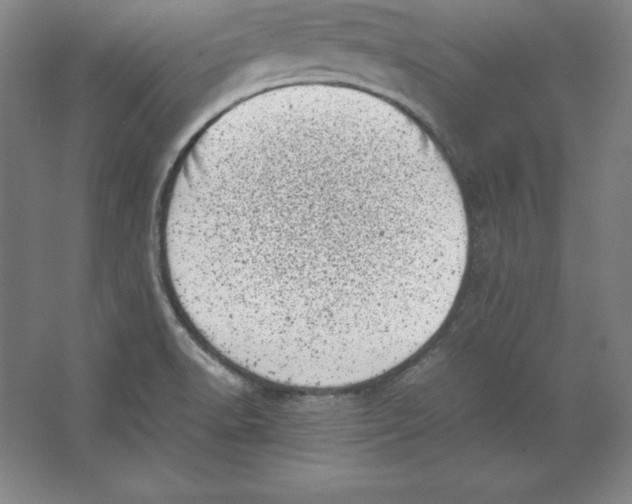 X0000062131518200512301448