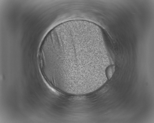 X0000062131519200512301448