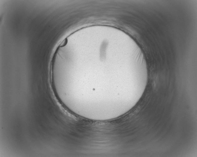 X0000062131520200512301448