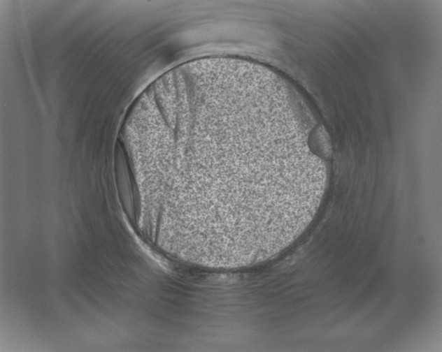 X0000062131521200512301448