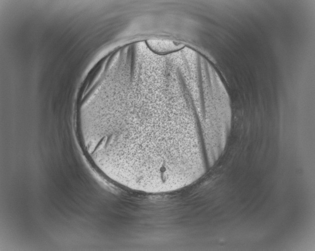 X0000062131523200512301448