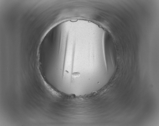 X0000062131524200512301448