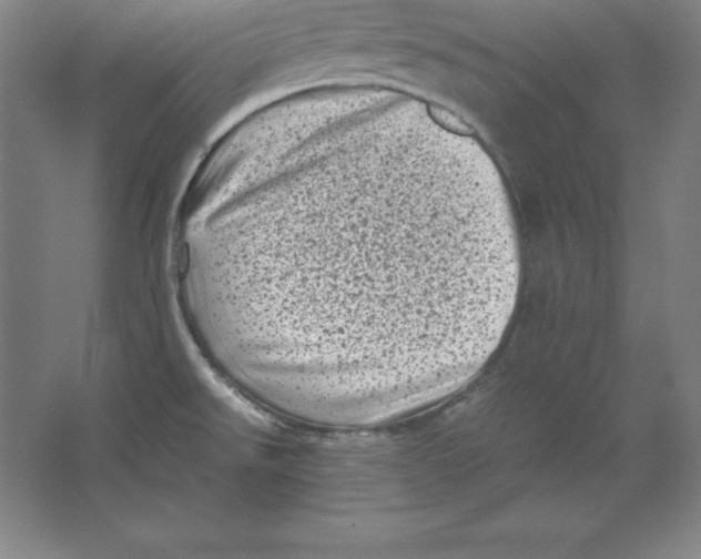 X0000062131526200512301448