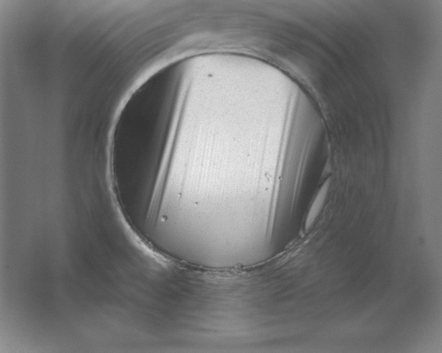 X0000062131528200512301448