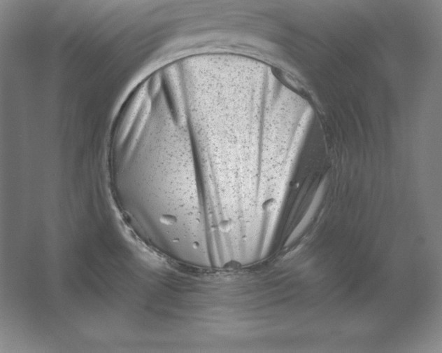 X0000062131530200512301448