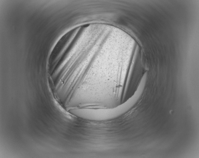 X0000062131532200512301448