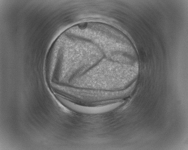 X0000062131533200512301448