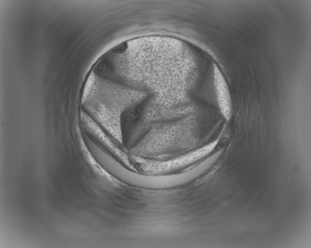 X0000062131534200512301448