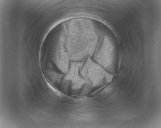 X0000062131535200512301448