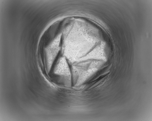 X0000062131536200512301448