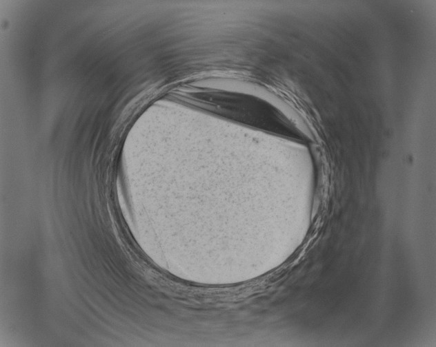 X0000062130001200601060909