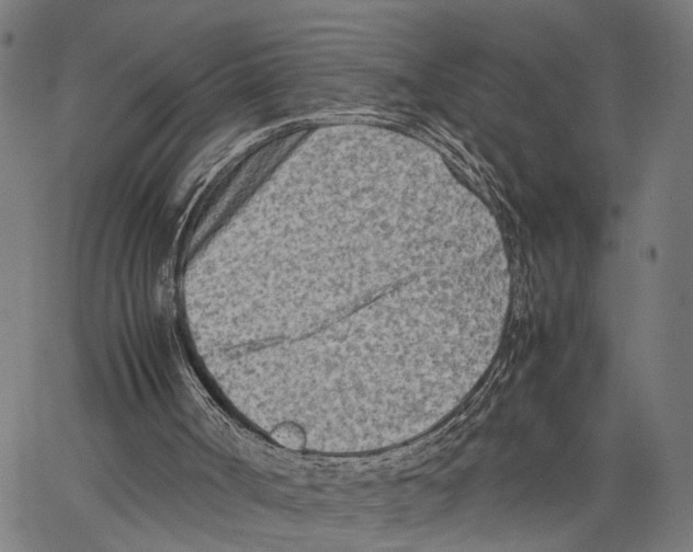 X0000062130002200601060909