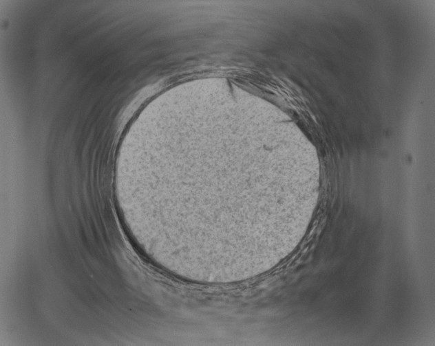 X0000062130003200601060909