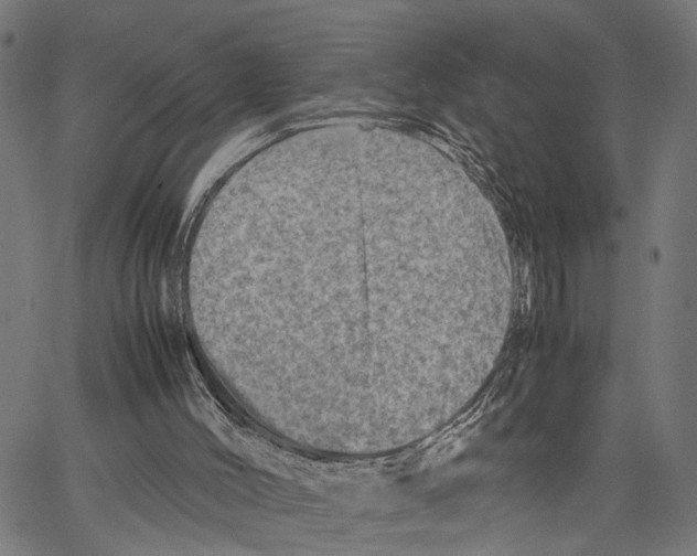 X0000062130004200601060909