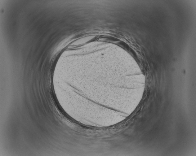 X0000062130005200601060909