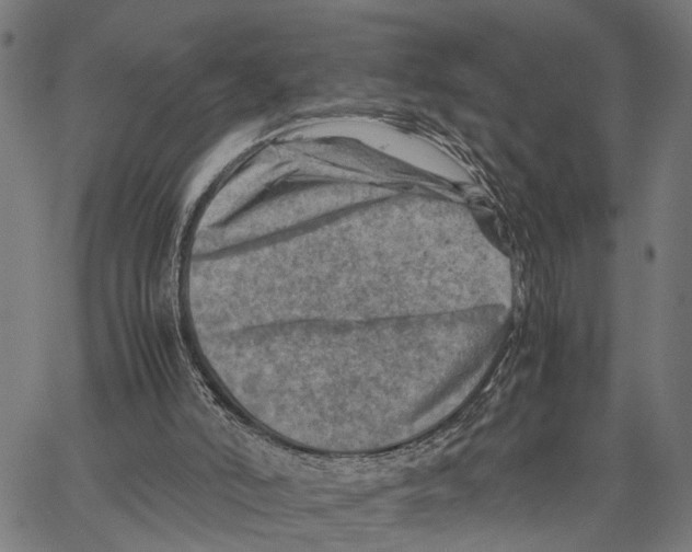 X0000062130006200601060909