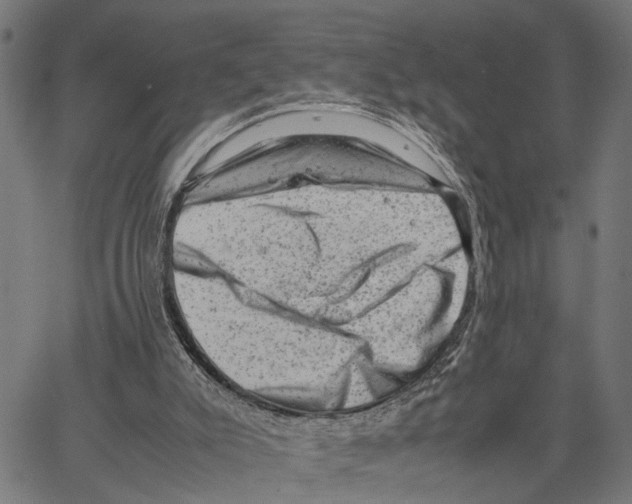 X0000062130007200601060909