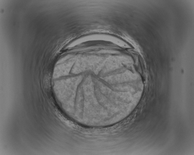 X0000062130009200601060909