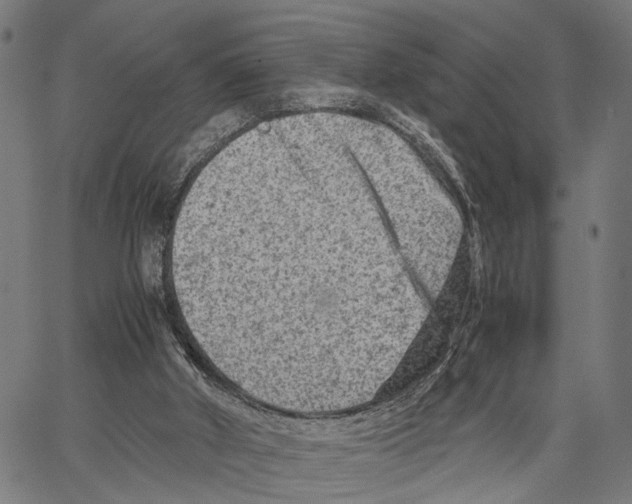 X0000062130010200601060909