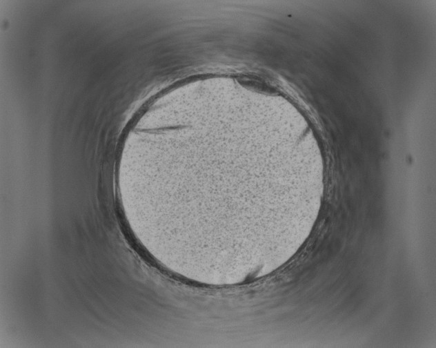 X0000062130011200601060909