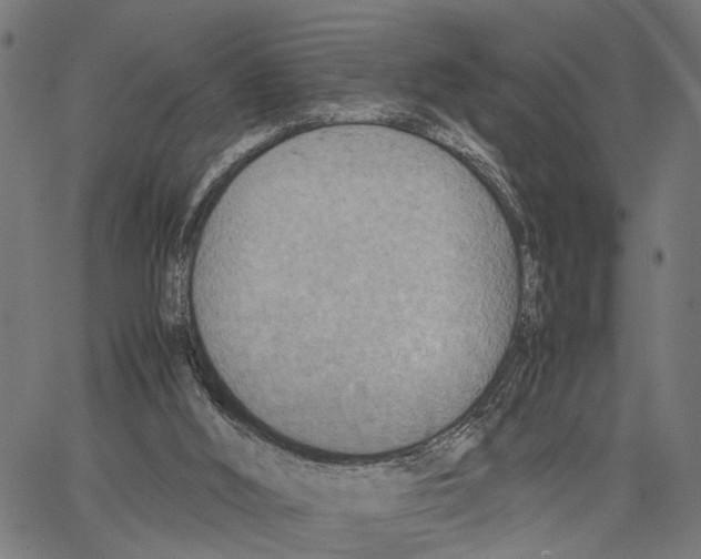 X0000062130012200601060909