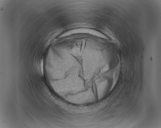 X0000062130014200601060909