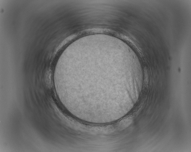 X0000062130016200601060909