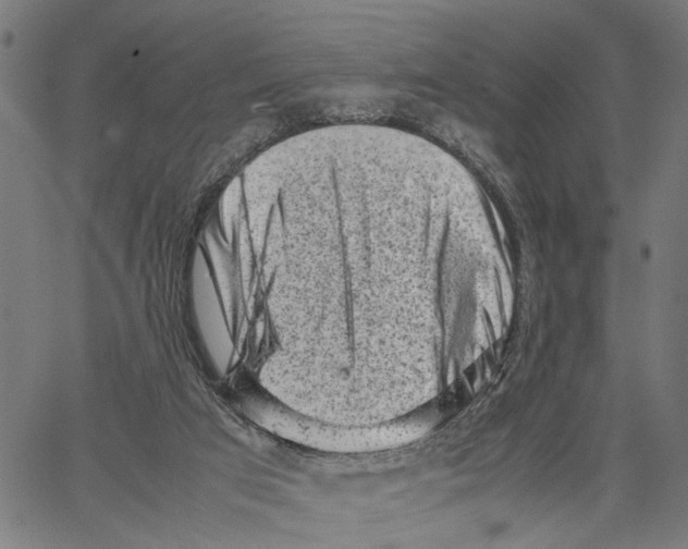 X0000062130017200601060909