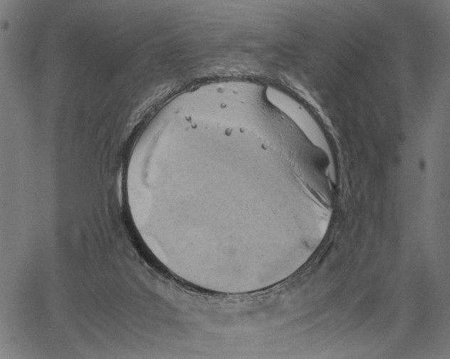 X0000062130019200601060909