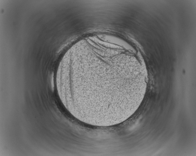 X0000062130020200601060909