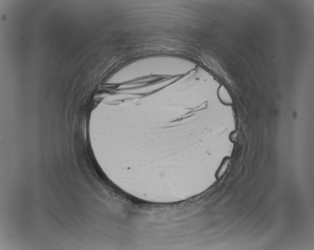 X0000062130021200601060909