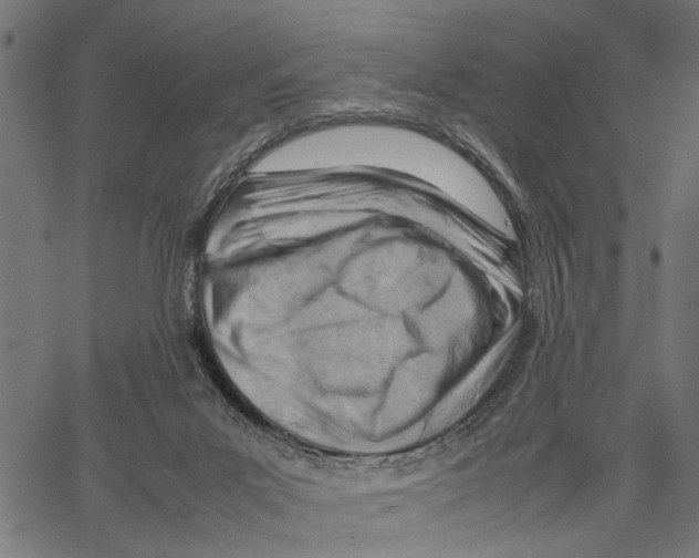 X0000062130023200601060909