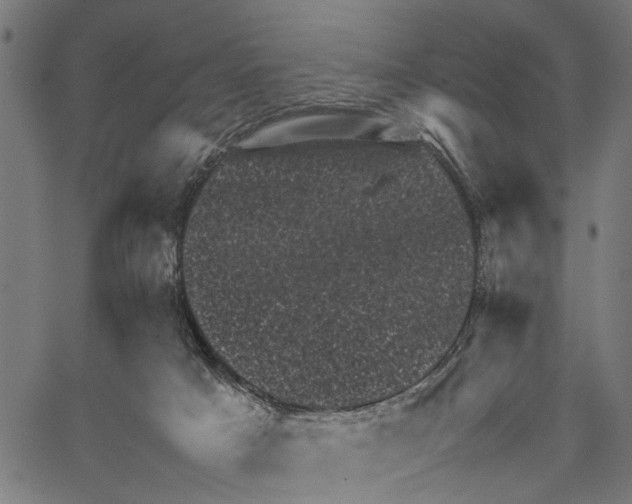 X0000062130025200601060909