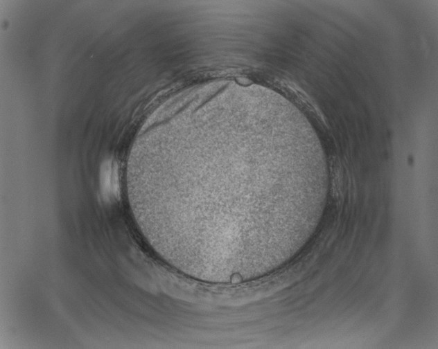 X0000062130026200601060909