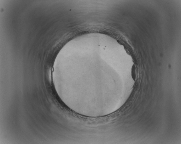 X0000062130027200601060909