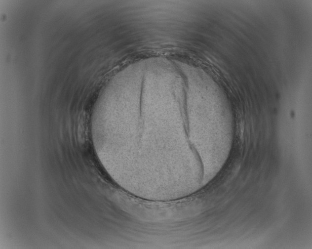 X0000062130030200601060909