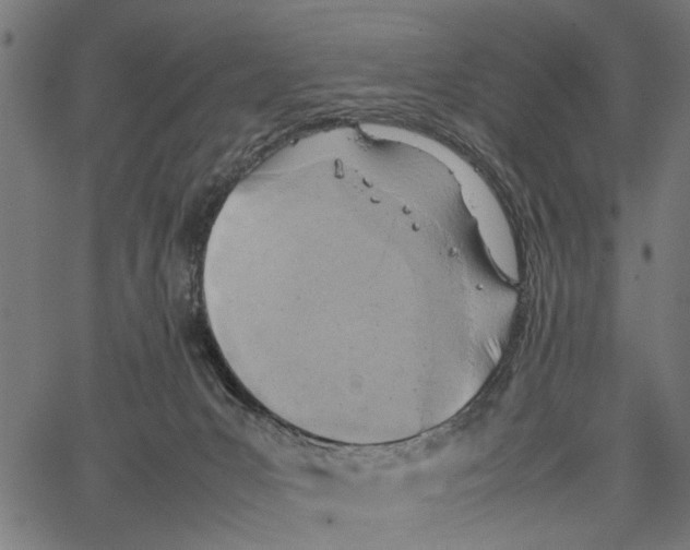 X0000062130031200601060909