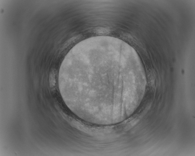 X0000062130032200601060909