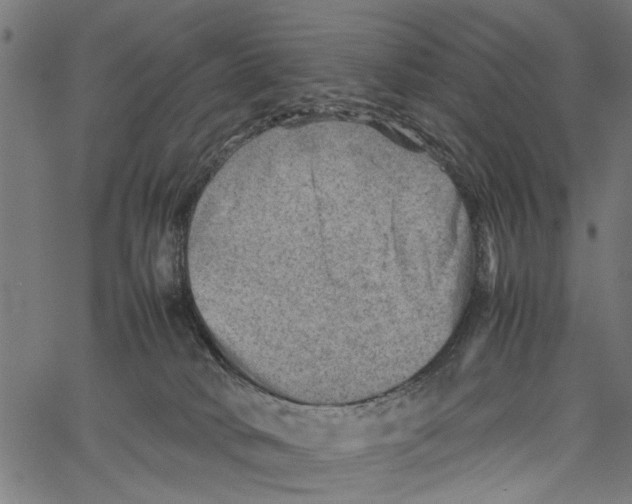 X0000062130034200601060909