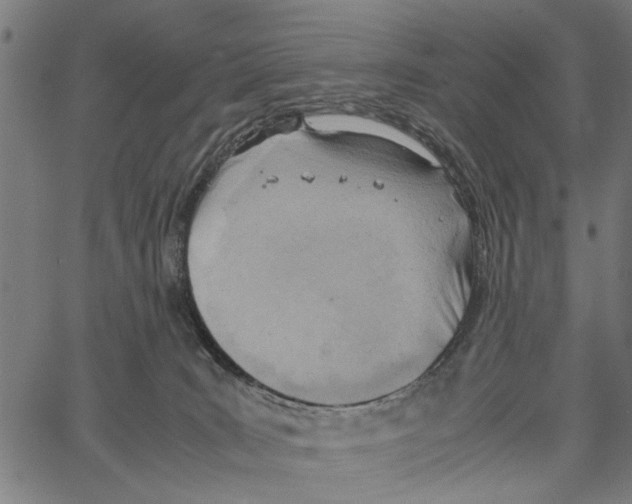 X0000062130035200601060909