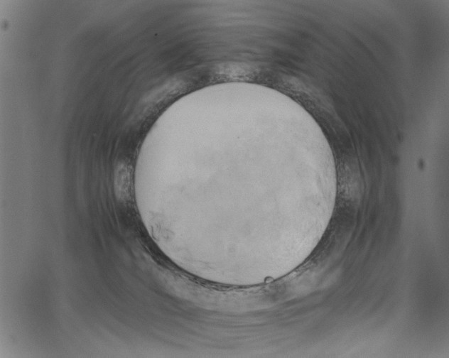 X0000062130036200601060909