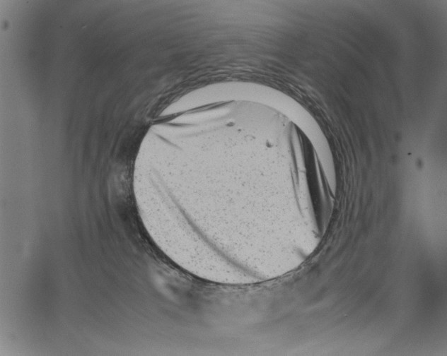 X0000062130037200601060909