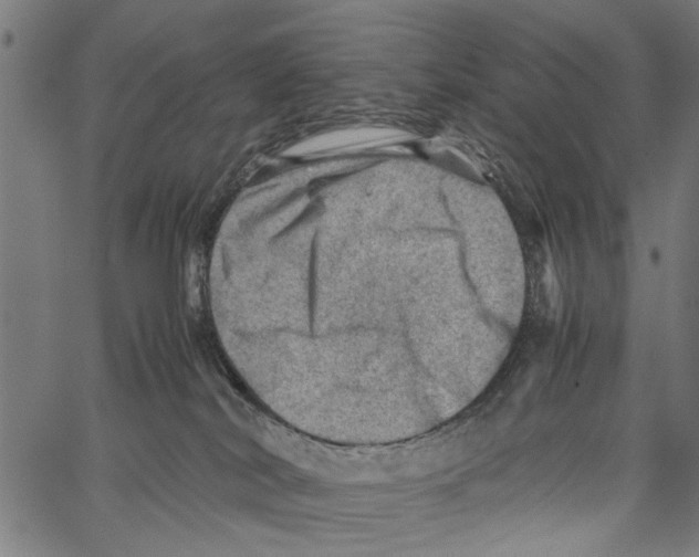 X0000062130038200601060909