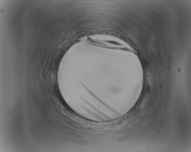 X0000062130039200601060909