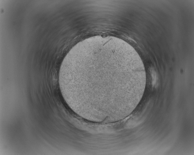 X0000062130040200601060909